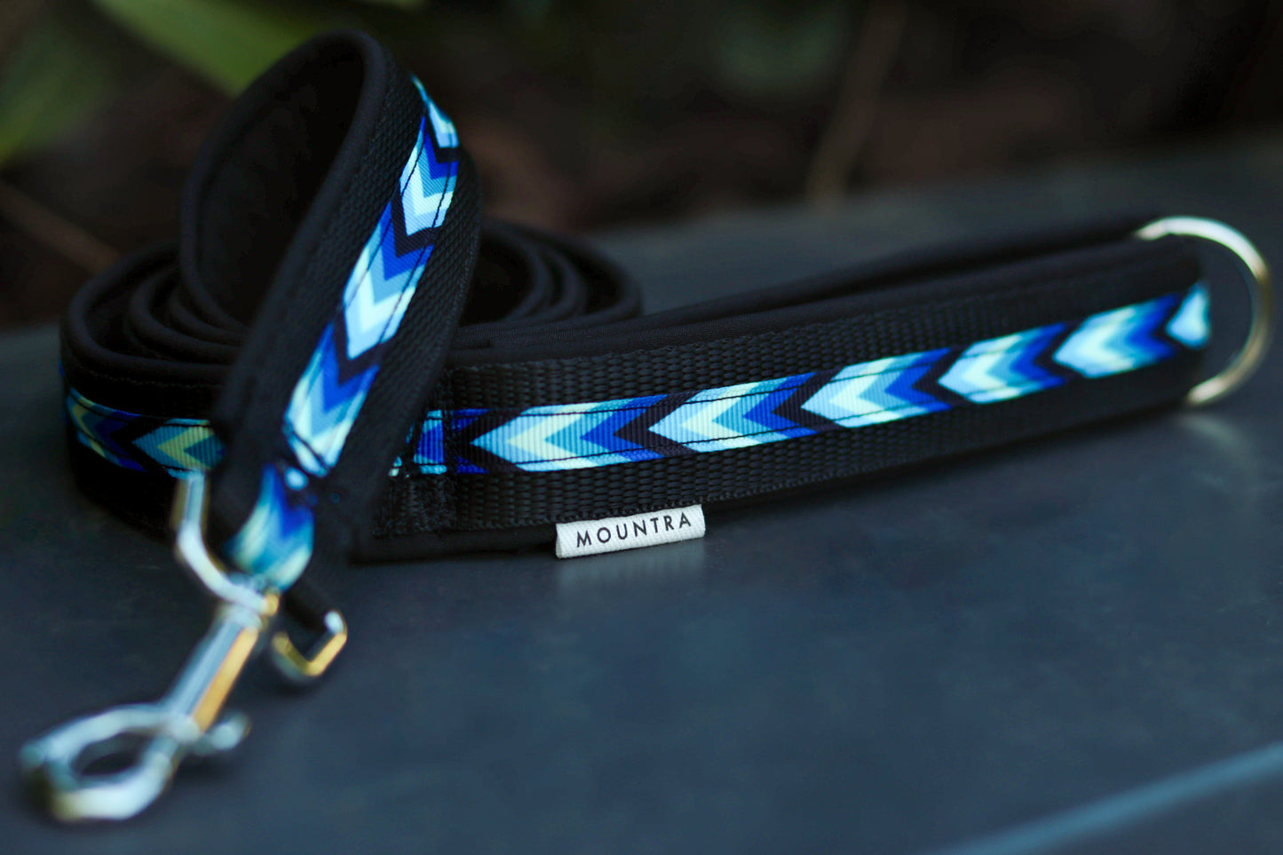 BluesArrow Leash