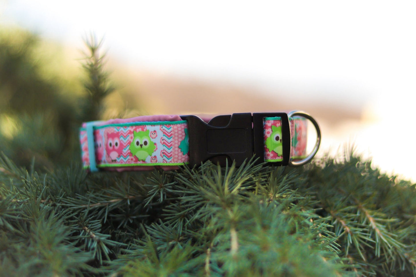 Owls Softshell Collar