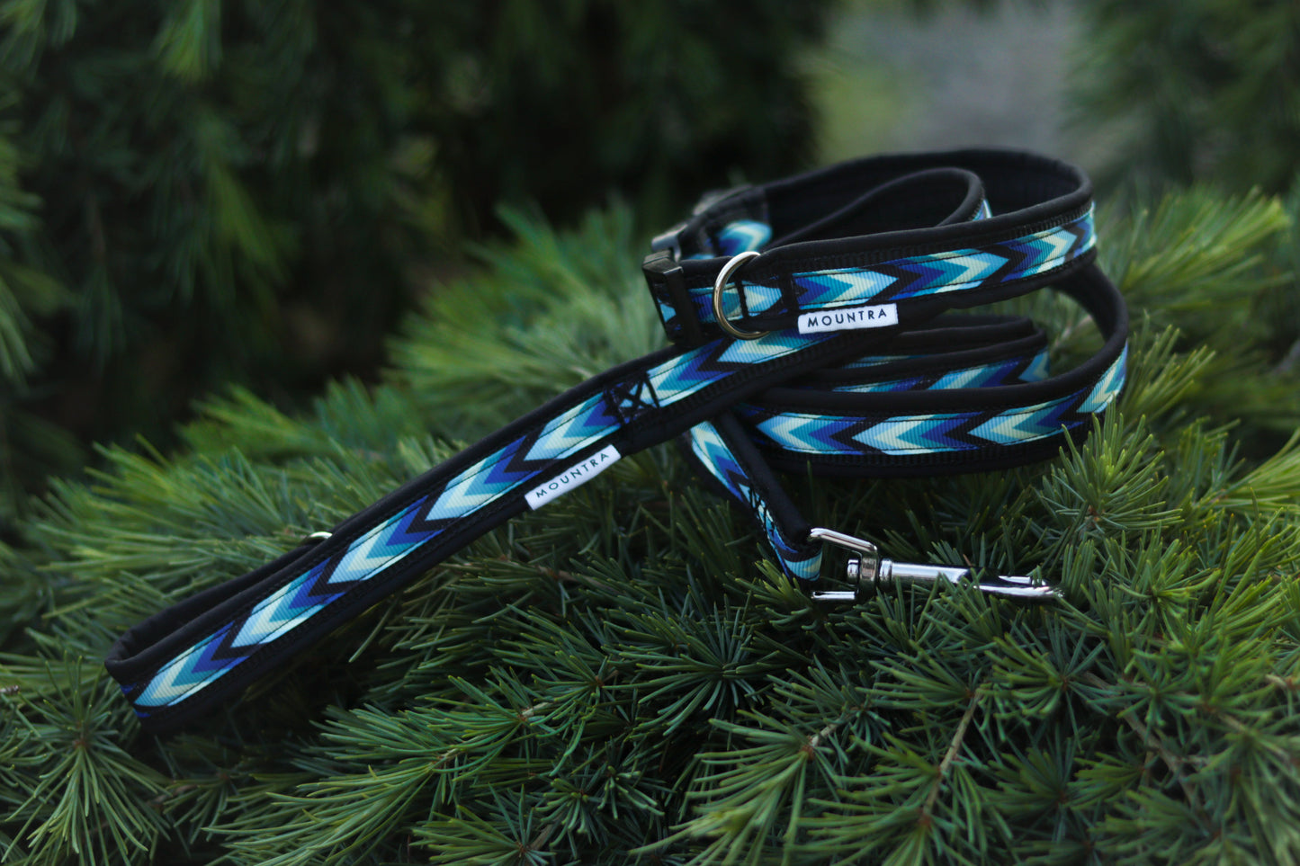 BluesArrow Collar