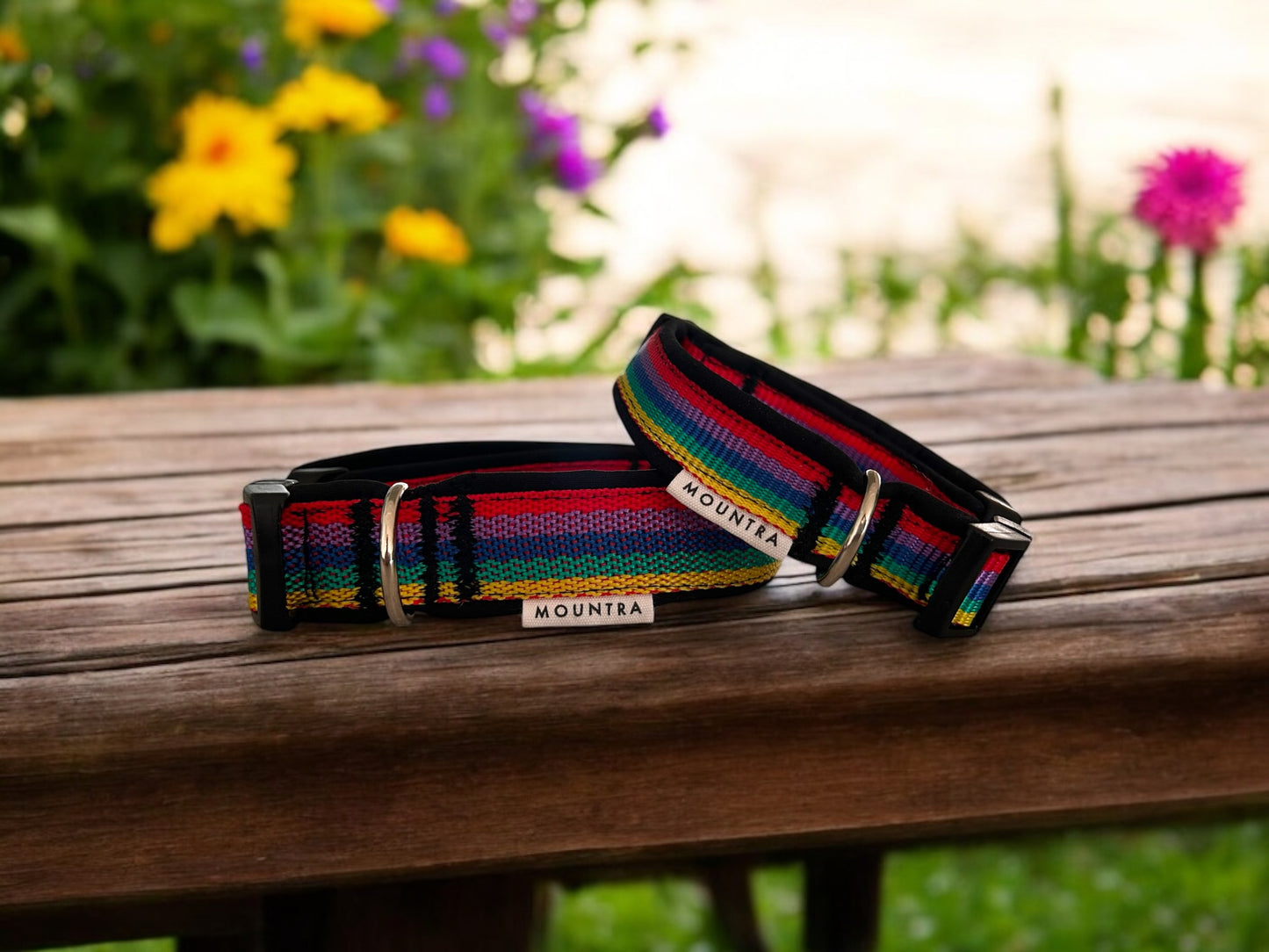 Rainbow Collar