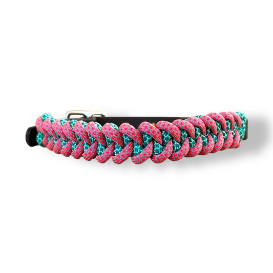 SmallShark Paracord Collar