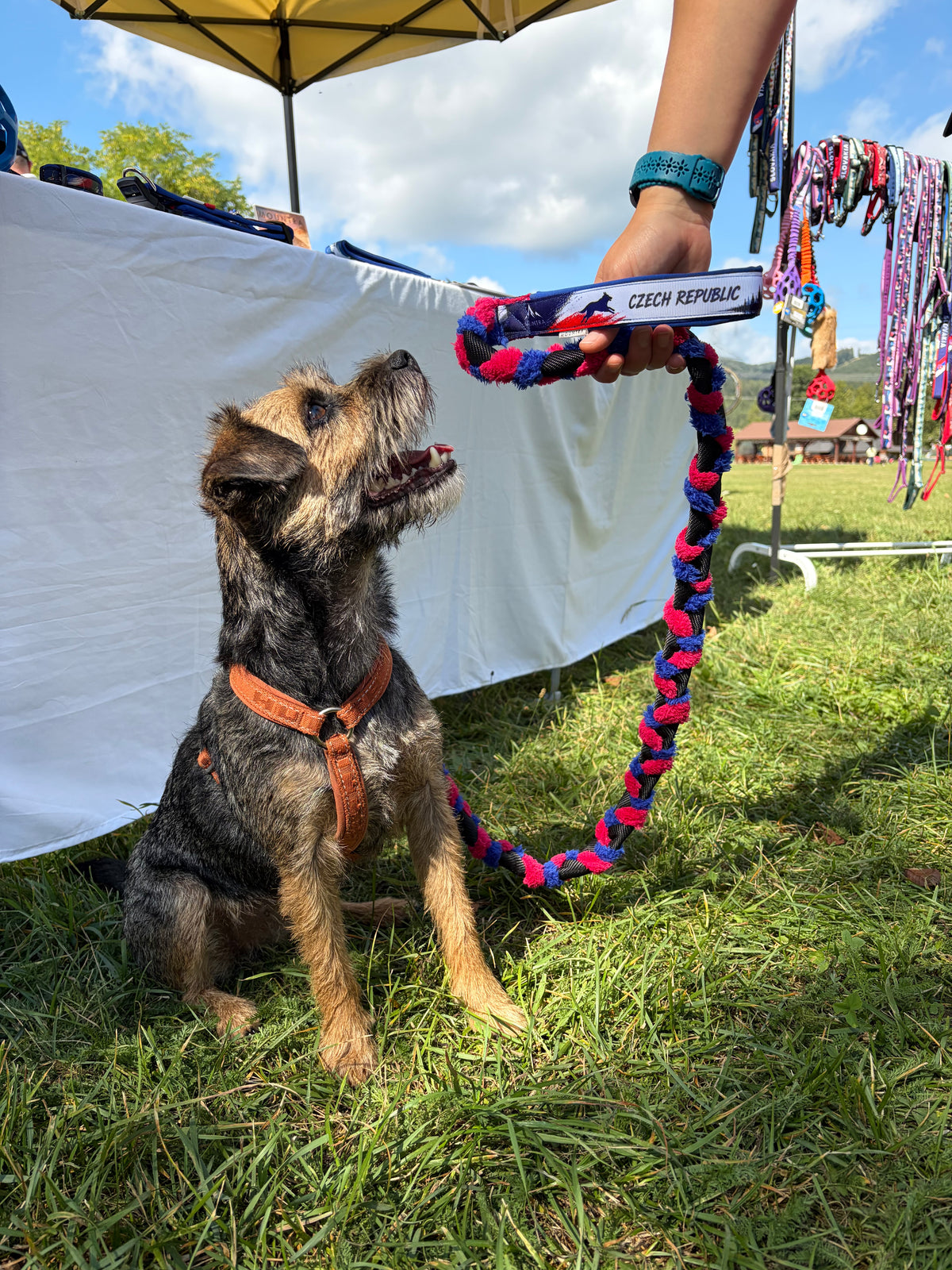 Furry Fleece Leash OEC Merch