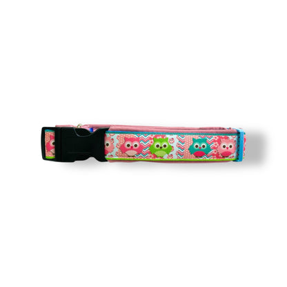 Owls Softshell Collar