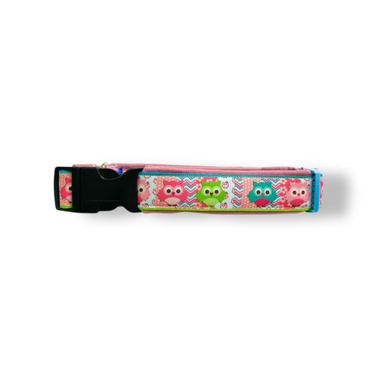 Owls Softshell Collar