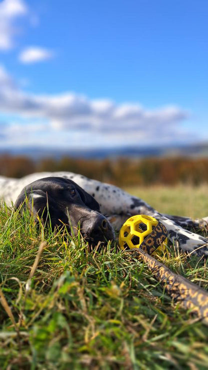 Sunflower Tug Toy with Ball