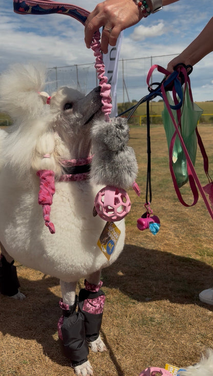 Tug toy with rabbit fur and ball + bungee