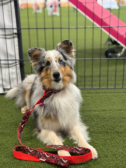 Ember Agility Leash