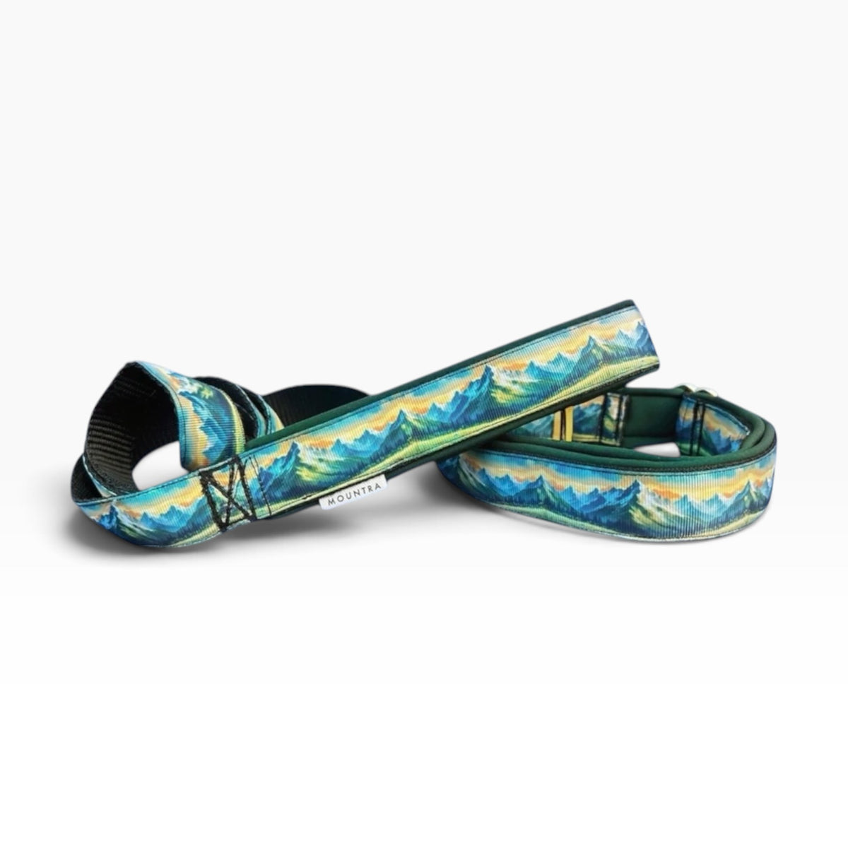 Aurora Agility Leash