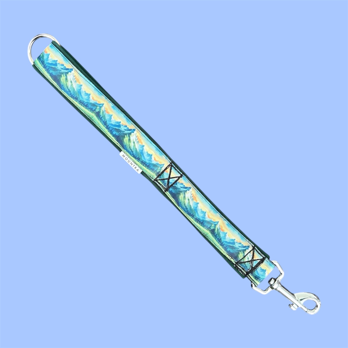 Aurora Training Lead