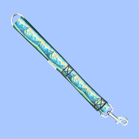 Aurora Training Lead