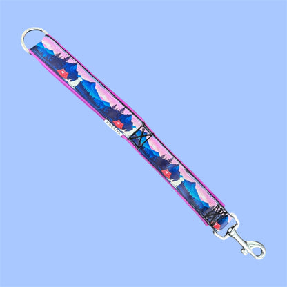 Meadly Training Lead