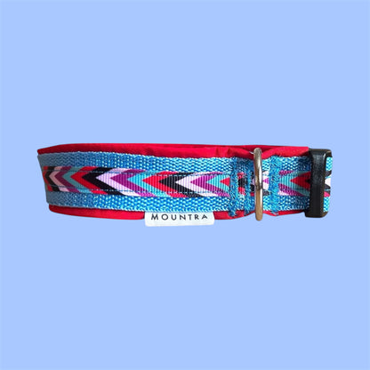 Softshell Collar "PurplesArrow"